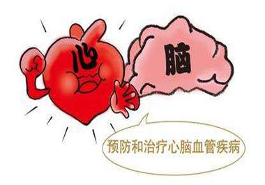 秋季是心腦血管疾病高發(fā)期 心腦血管靠養(yǎng)護