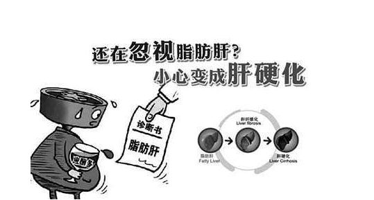  脂肪肝被稱為“隱蔽性肝硬化”，適當(dāng)補硒可降低危害性