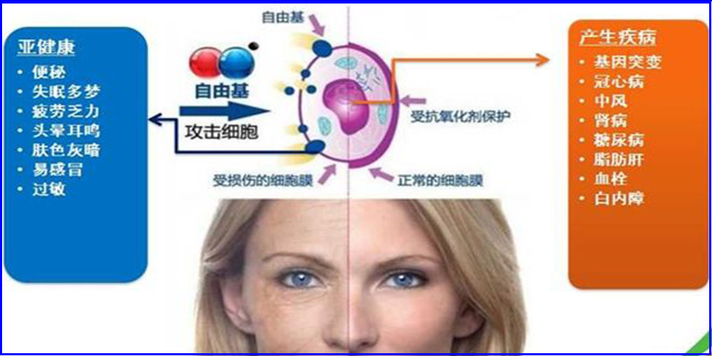 自由基是“百病之源”？硒元素可清除自由基