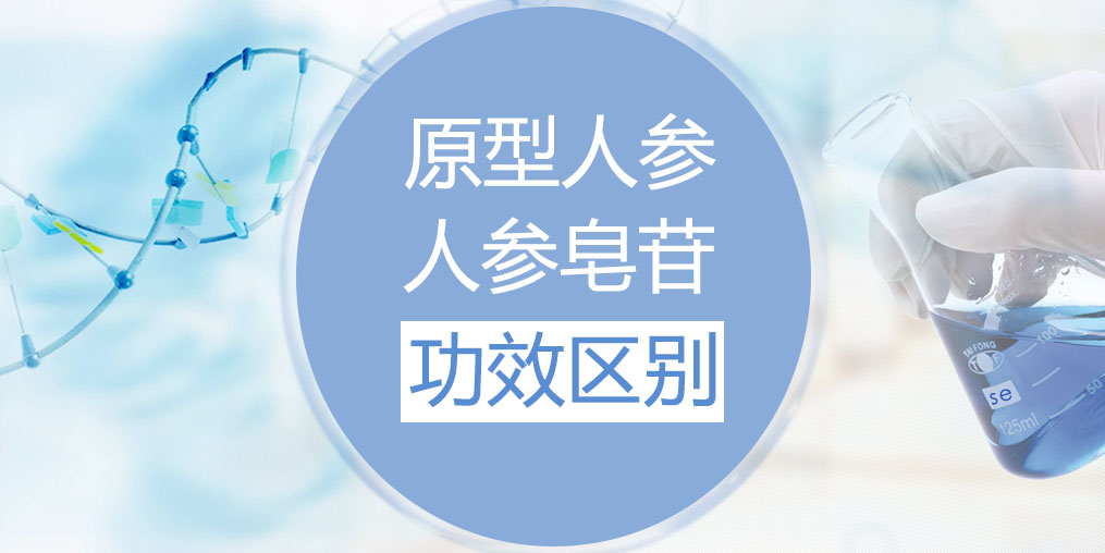 人參和人參皂苷的功效區(qū)別在哪里？