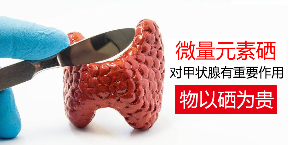 物以“硒”為貴，甲狀腺疾病能適當(dāng)補(bǔ)硒嗎？