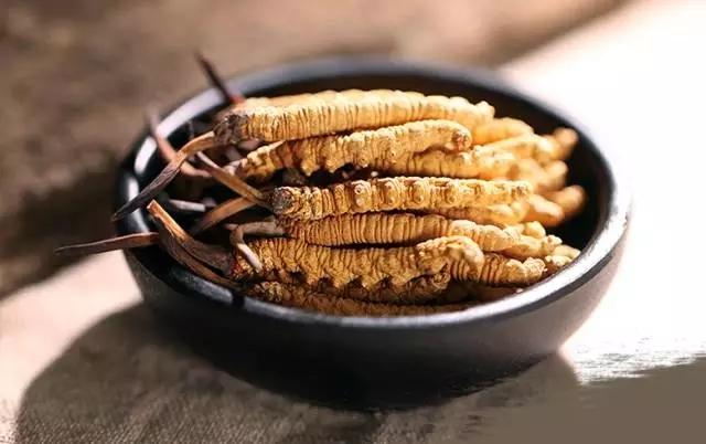 冬蟲夏草為什么得到很多人的認(rèn)可？