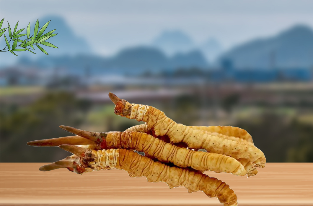 冬蟲夏草和腎病還有什么關系嗎？