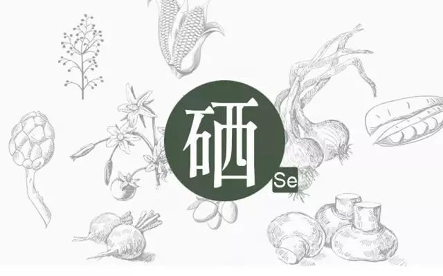 硒元素在人體中是如何運(yùn)作的？
