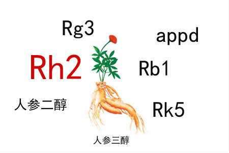化療常見副作用有哪些？