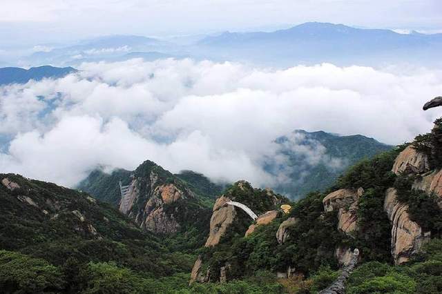 大別山的靈芝孢子粉為什么好？