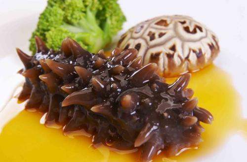 關(guān)于海參的冷知識(shí)，您知道嗎？